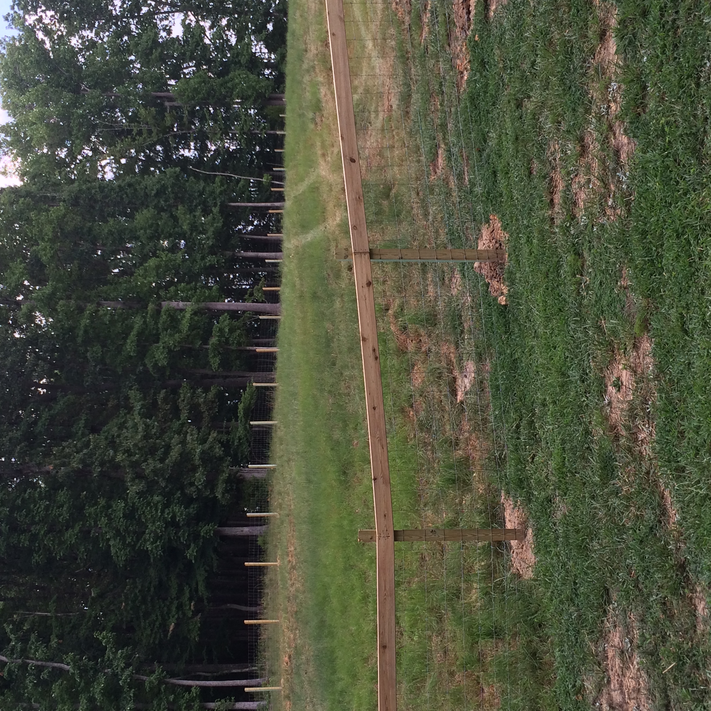 img_0833 SE Agricultural Fencing