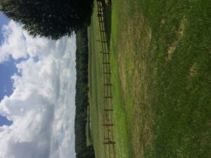 farm fence in meadow