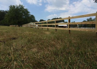 brown-horse-fence-North Carolina