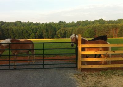 horse-fence-gate